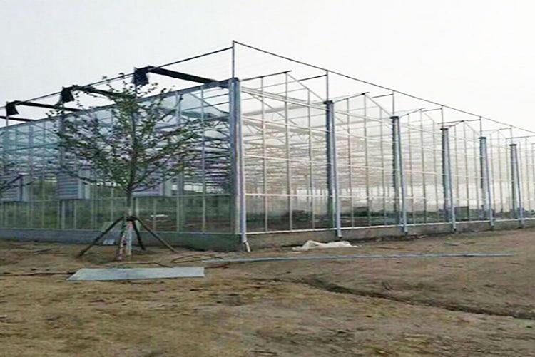 山东潍坊青州智能玻璃温室 智能温室建设 连动薄膜温室