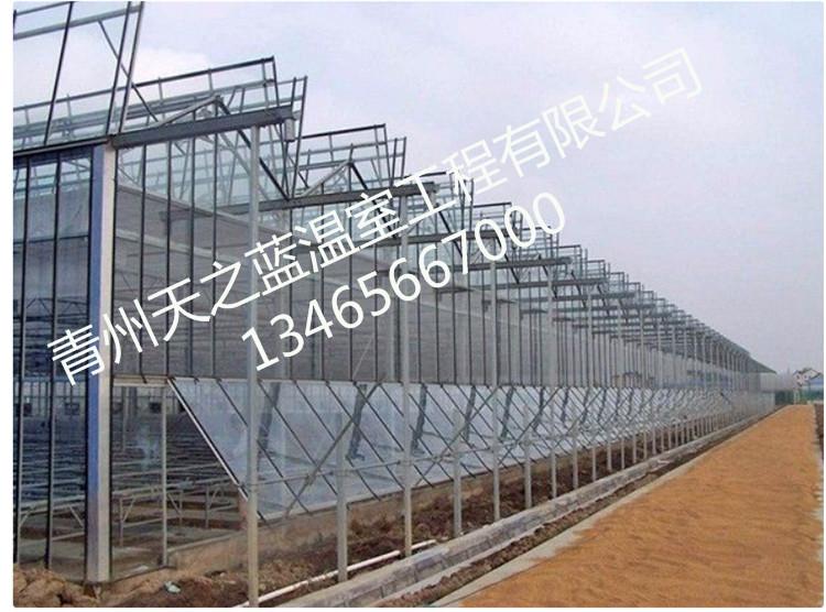 玻璃温室 智能温室 温室大棚 无土栽培  天之蓝温室