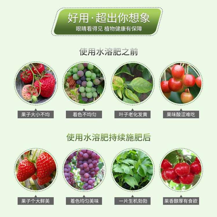销售膨果有机水溶肥 膨果有机水溶肥价格
