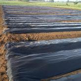地膜供货商 地膜常年生产供应 保水地膜