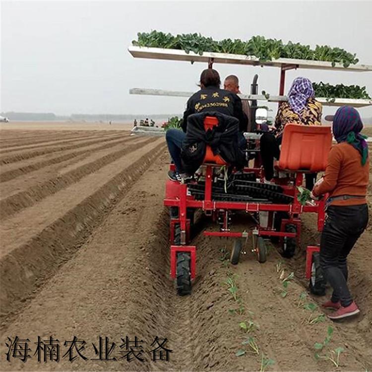 移栽机销售 厂家供应西兰花移栽机 山东西兰花移栽机
