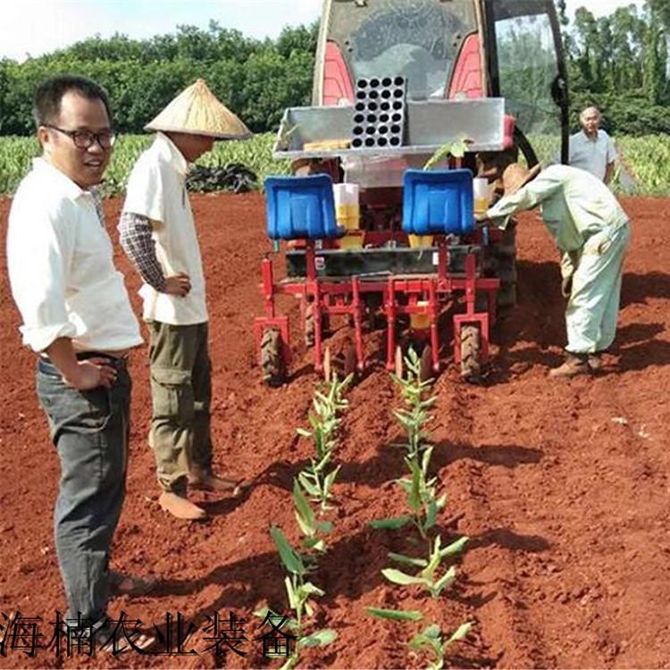 厂家批发西兰花移栽机  移栽机行情  西兰花移栽机价格
