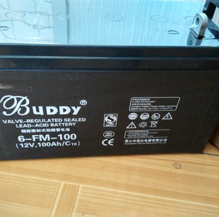 BUDDY蓄电池6-GFM-24 12V24AH 宝迪储能电源 UPS工业电池
