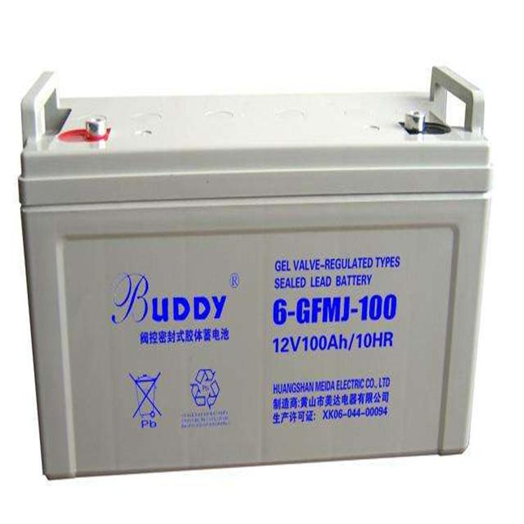 BUDDY蓄电池6-GFM-120 12V120AH宝迪蓄电池 UPS EPS电源工业电池