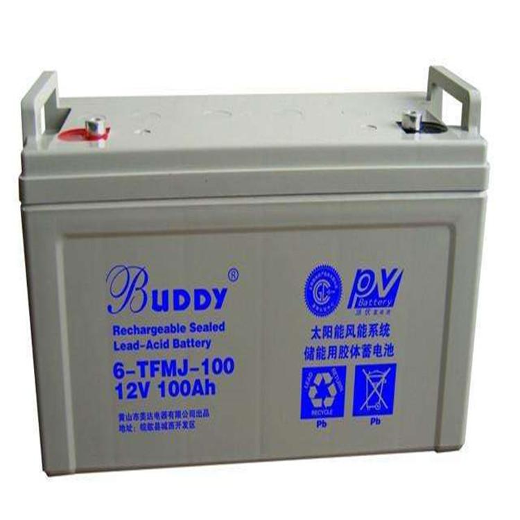 BUDDY蓄电池6-GFM-150 宝迪蓄电池12V150AH UPS EPS电源工业电池价格