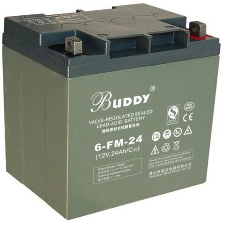 BUDDY蓄电池6-GFM-200 宝迪蓄电池12V200AH UPS EPS电源工业电池 不间断电源