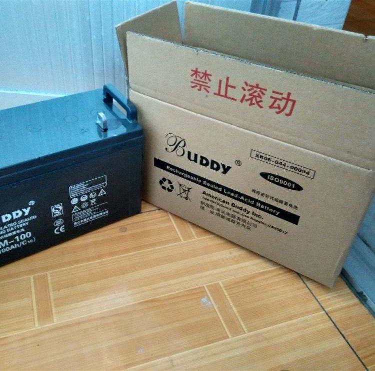 BUDDY蓄电池6-GFMJ-100 宝迪蓄电池12V100AH UPS EPS电源工业电池 阀控密封蓄电池
