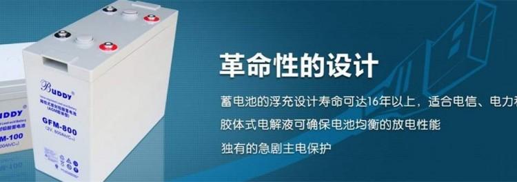 BUDDY蓄电池GFMJ-500 宝迪 阀控式密封铅酸 蓄电池2V500AH厂家