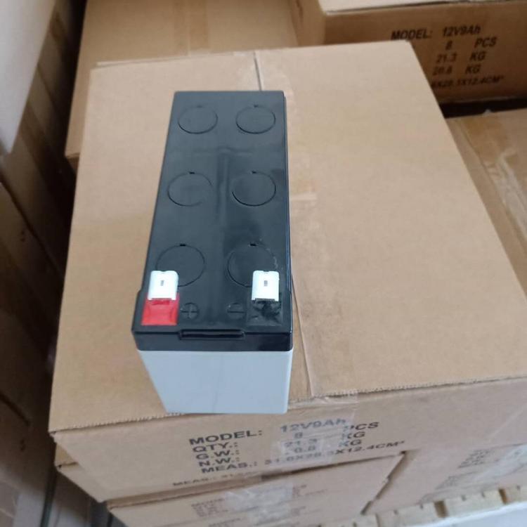 Aglas.安佳尼蓄电池RB-FM-12V65 AH UPS/EPS应急电源 储能蓄电池价格