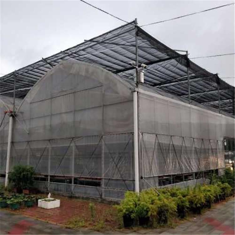 连栋薄膜温室连栋薄膜大棚 蔬菜连栋薄膜温室   天之蓝温室