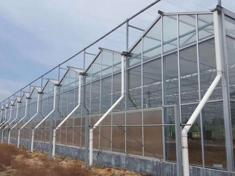 阳光板温室大棚建设工程 阳光板温室大棚温室
