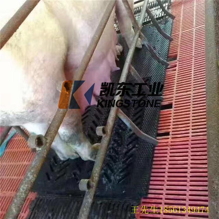 母猪产床垫 青岛凯东保温垫 防滑垫舒适耐用