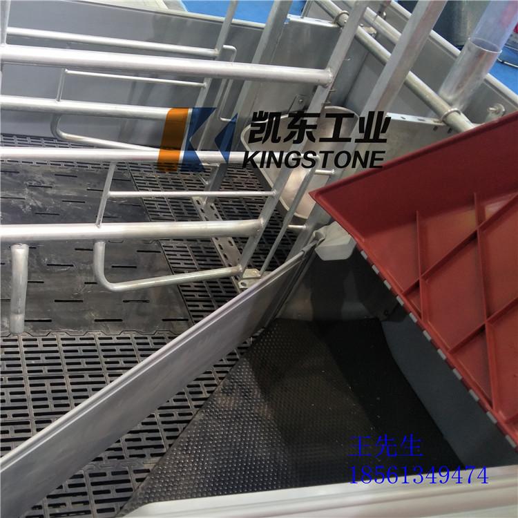 仔猪保温垫 青岛凯东猪舍垫 猪用育肥垫龟背纹防滑