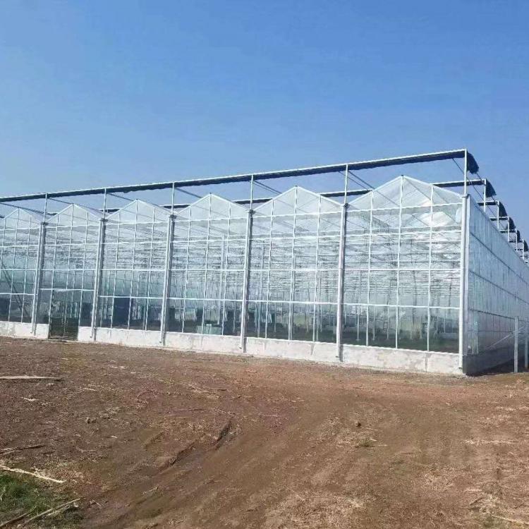 阳光板温室大棚建设工程 阳光板温室大棚温室工程