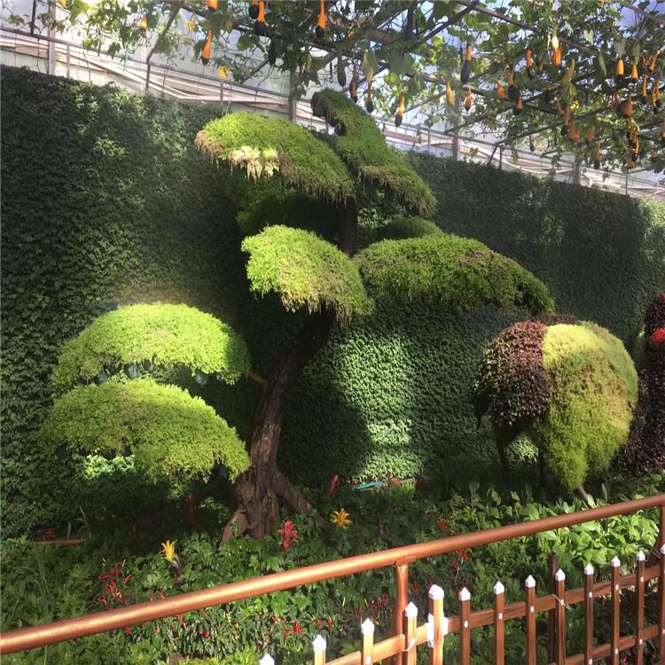 蔬菜大棚 蔬菜大棚承建 蔬菜大棚建设