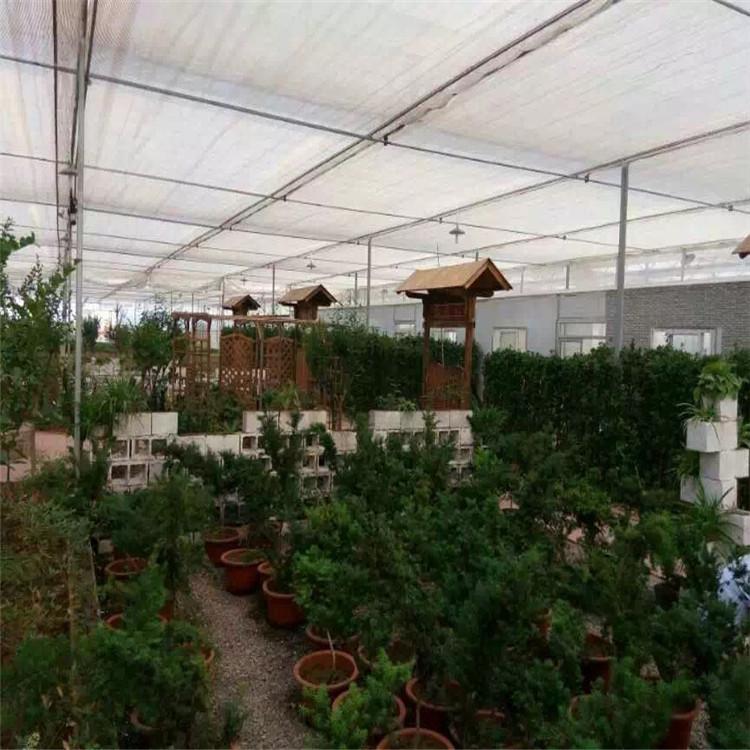 玻璃温室-玻璃温室定制