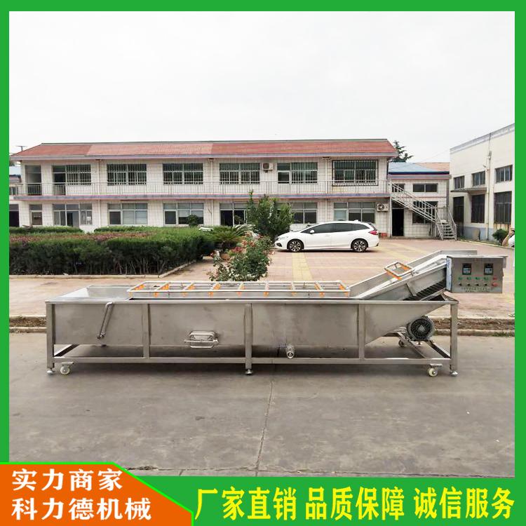果蔬清洗风干流水线 气泡冲浪鱼腥草去泥机 全自动中药材净菜加工设备 海带清洗机