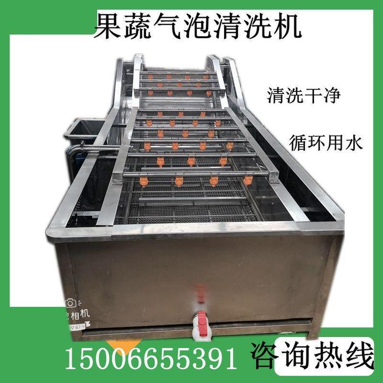 新疆葡萄清洗机 大枣清洗设备 蔬菜清洗机 大型净菜漂烫设备价格