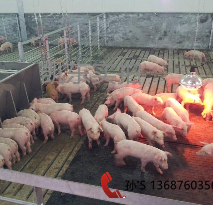 产床保温垫  青岛凯东小猪橡胶保温垫 保育箱橡胶垫