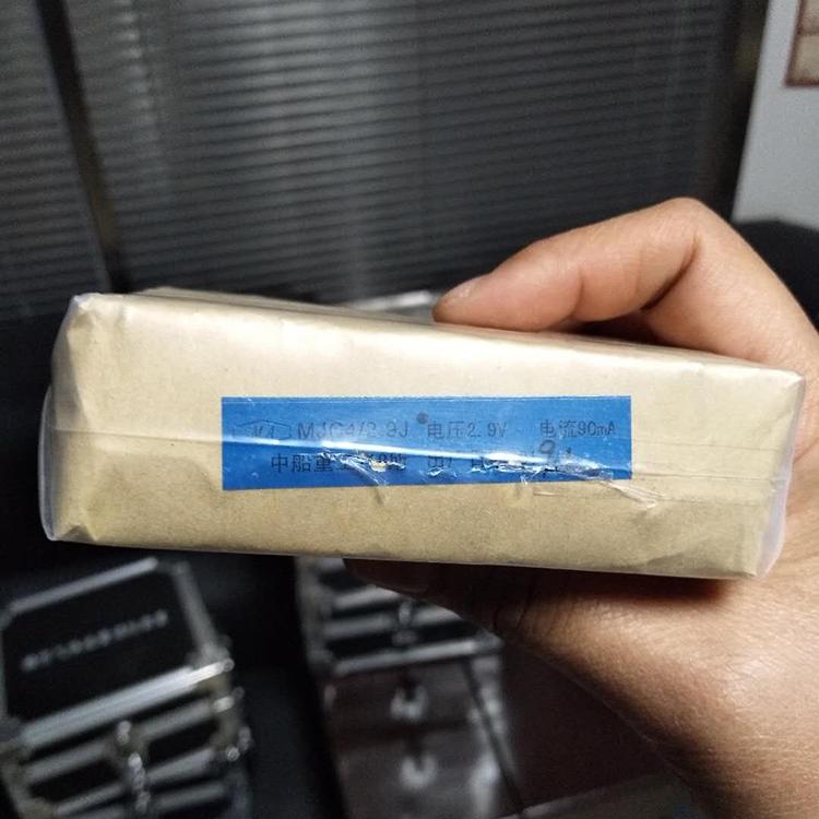 中船重工718所载体催化元件黑白元件便携式报警器元件传感器用元件