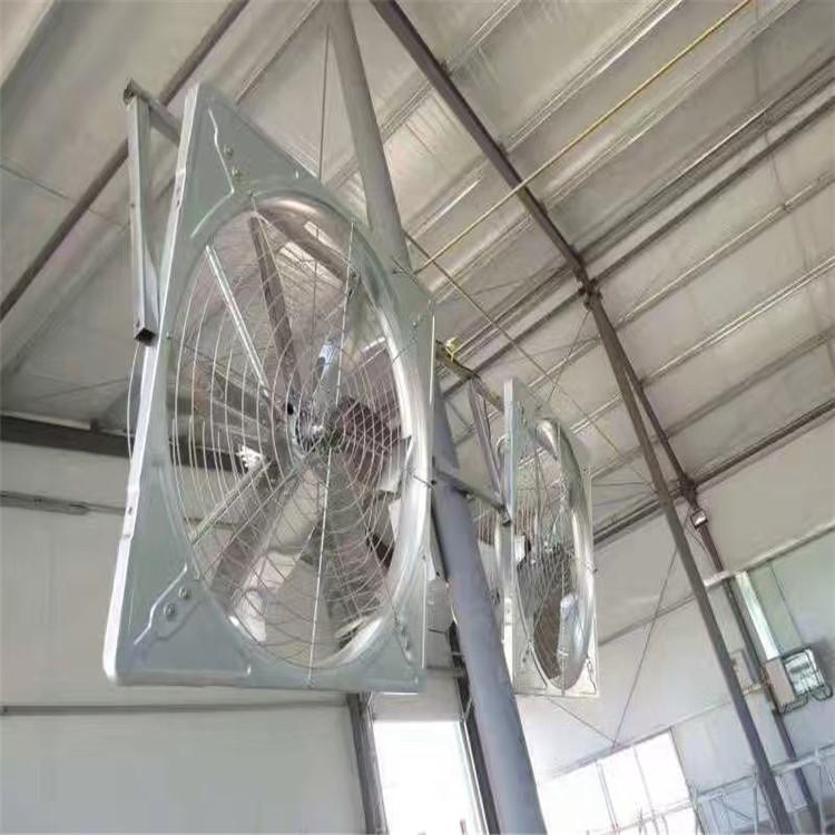 山东多面体供应1100型牛舍风机 牛棚降温风机价格 全塑一体成型 型号齐全可定制