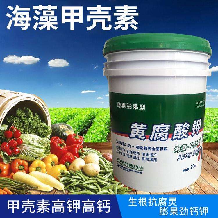 厂家直售甲壳素 甲壳素供应商 质量好