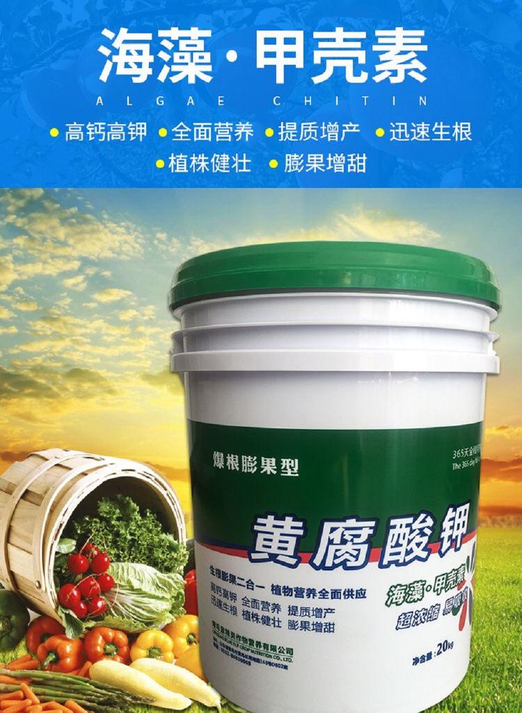 销售甲壳素 甲壳素价格 现货供应