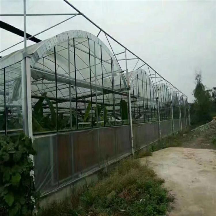 联动温室大棚建设厂家  方立农业  常年承接建造质量好的温室大棚