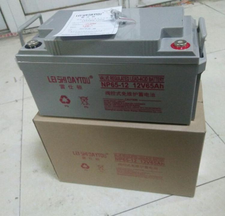 雷士顿蓄电池6-GFM-12 12V12AH 免维护储能铅酸蓄电池