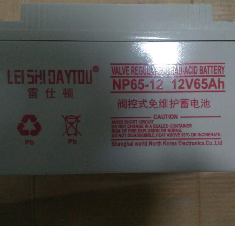 雷士顿蓄电池6-GFM-24  免维护储能铅酸蓄电池12V24AH UPS 不间断电源使用