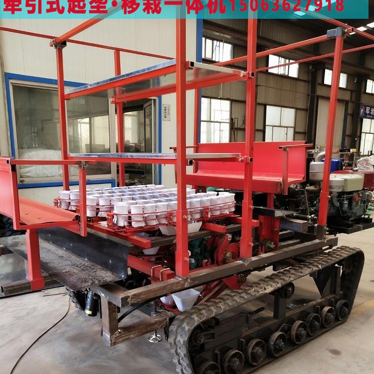 蔬菜移栽机批发 质量保障 供应蔬菜移栽机