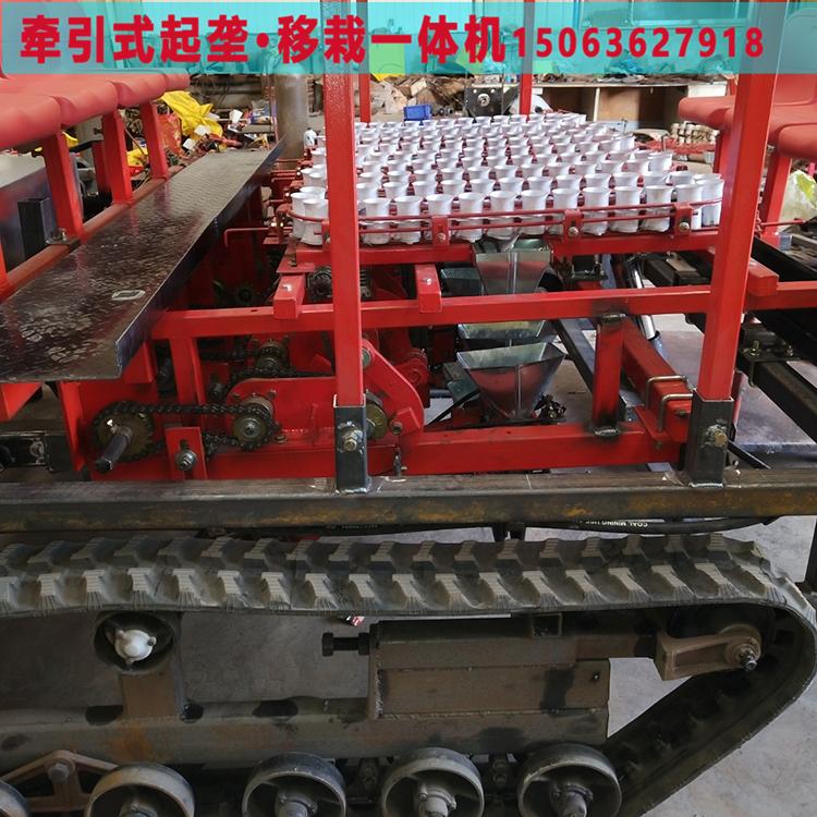 现货供应洋葱移栽种植机 洋葱移栽机供应商