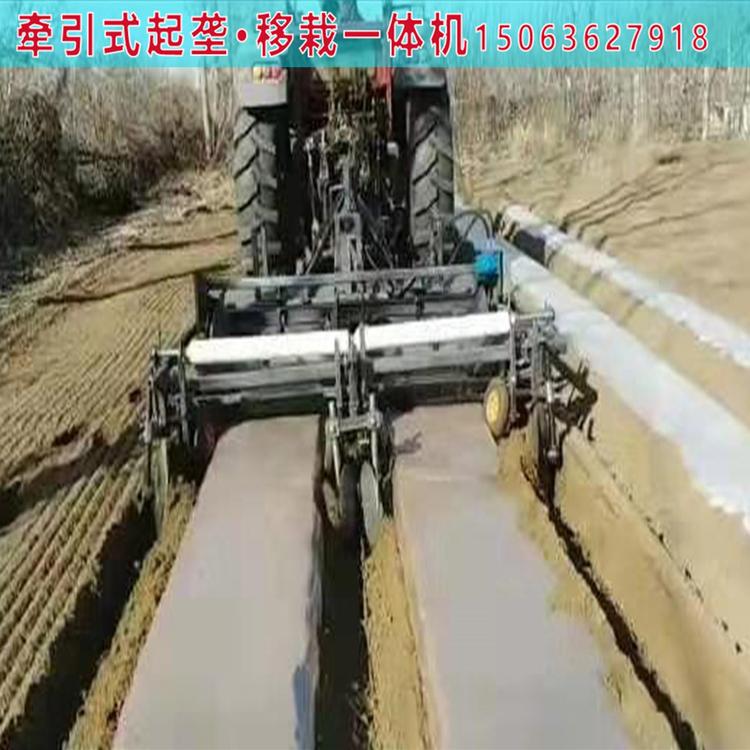 旋耕起双垄双施肥铺滴灌铺膜多功能一体机 整地机生产厂家出售