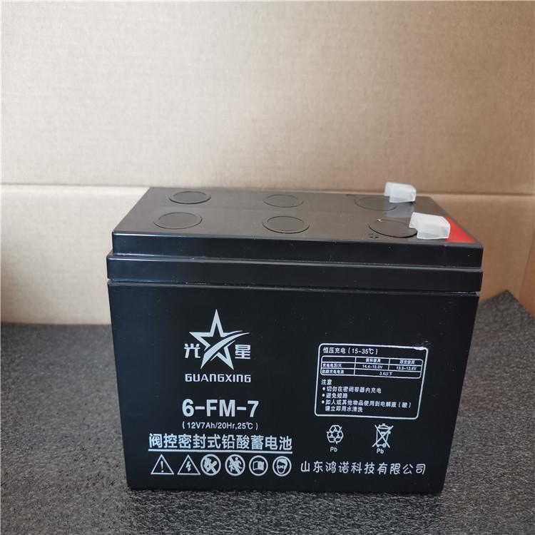 雷士顿蓄电池6-GFM-40 12V40AH UPS免维护储能铅酸蓄电池