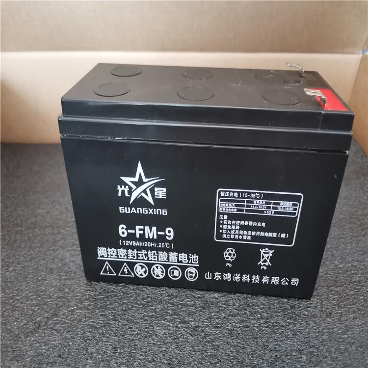 雷士顿蓄电池6-GFM-65 12V65AH免维护储能铅酸蓄电池厂家现货