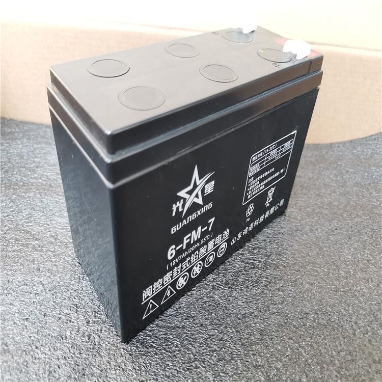 雷士顿蓄电池6-GFM-100 12V100AH免维护储能铅酸蓄电池 直流屏 UPS电源厂家现货