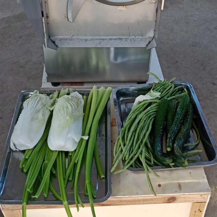 多功能商用切菜机 多功能手动切菜机 多功能手动小型切菜机
