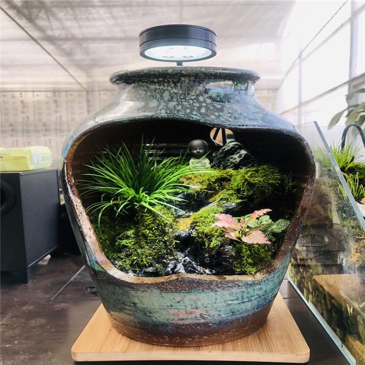 西安绿植租摆价格陕西绿植租摆价格西安绿植租摆哪家好西安绿植租摆哪家便宜陕西绿植租摆哪家好陕西绿植租摆哪家便宜