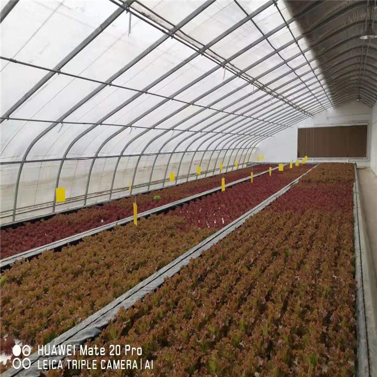 常年承建以色列潮汐叶菜系统项目  咨询无土栽培价格  方立农业优惠