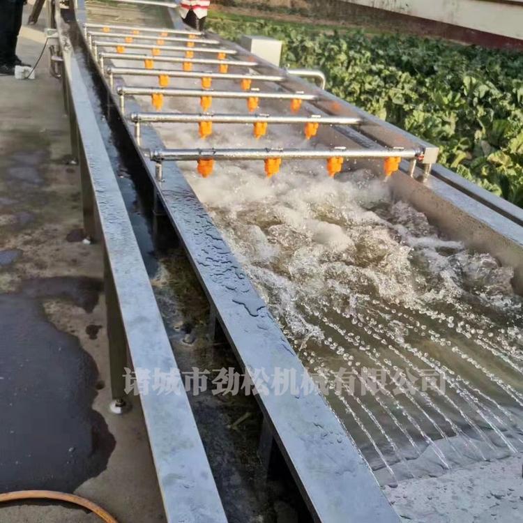 直销净菜深加工设备 香菇气泡清洗机厂家 大型蔬菜水果清洗机