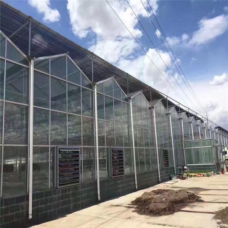 玻璃温室 玻璃温室建设 玻璃温室厂家