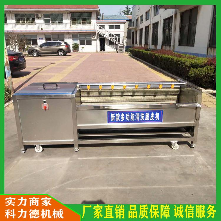 毛辊清洗机生产厂家 毛辊去皮去泥去杂清洗机 根茎类果蔬去皮清洗机 清洗胡萝卜的机器