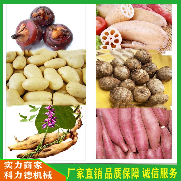 马铃薯毛辊清洗机 猪蹄去杂毛辊清洗机 不锈钢毛刷清洗机 多功能毛辊清洗机