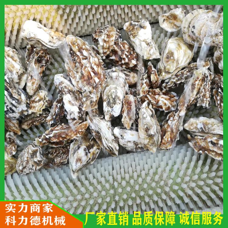 多功能自动毛辊清洗机 生姜大姜清洗机 大枣清洗机 天麻人参三七毛辊清洗机 莲藕去泥沙清洗机