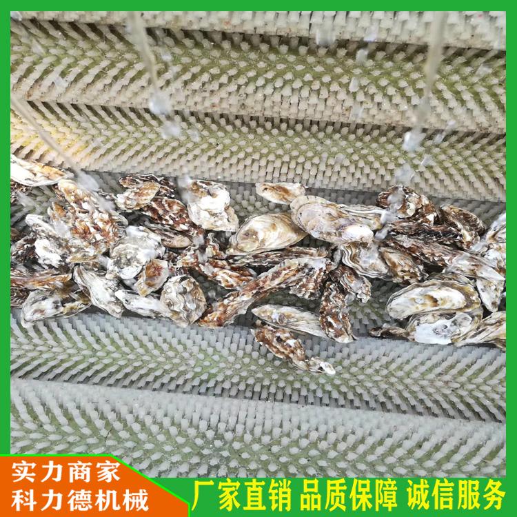 根茎类毛辊去皮清洗机 大型海蛎子扇贝清洗机 猪蹄去毛机硬毛刷毛辊清洗机