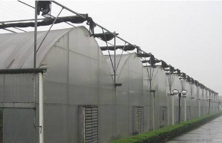 连栋大棚温室  连栋温室大棚定制  博盛温室