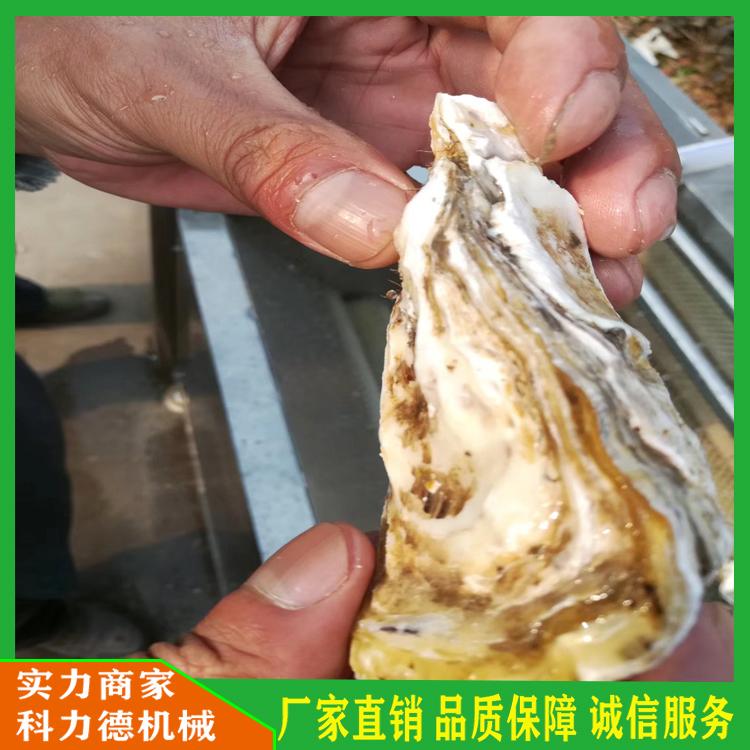 生产多功能毛刷猪头清洗机 地瓜去皮清洗机 山药豆毛辊清洗机 科力德厂家直销