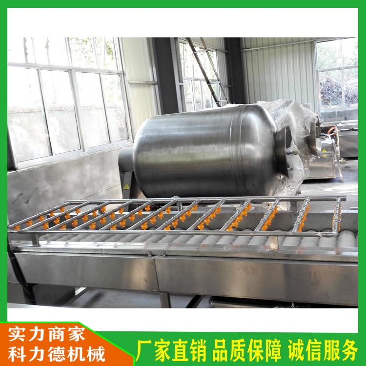 海虹毛辊清洗机 生蚝毛辊清洗机 柚子油桃不锈钢毛辊清洗机 西洋参毛辊清洗机