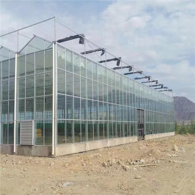 玻璃温室 玻璃温室定制 玻璃温室建设