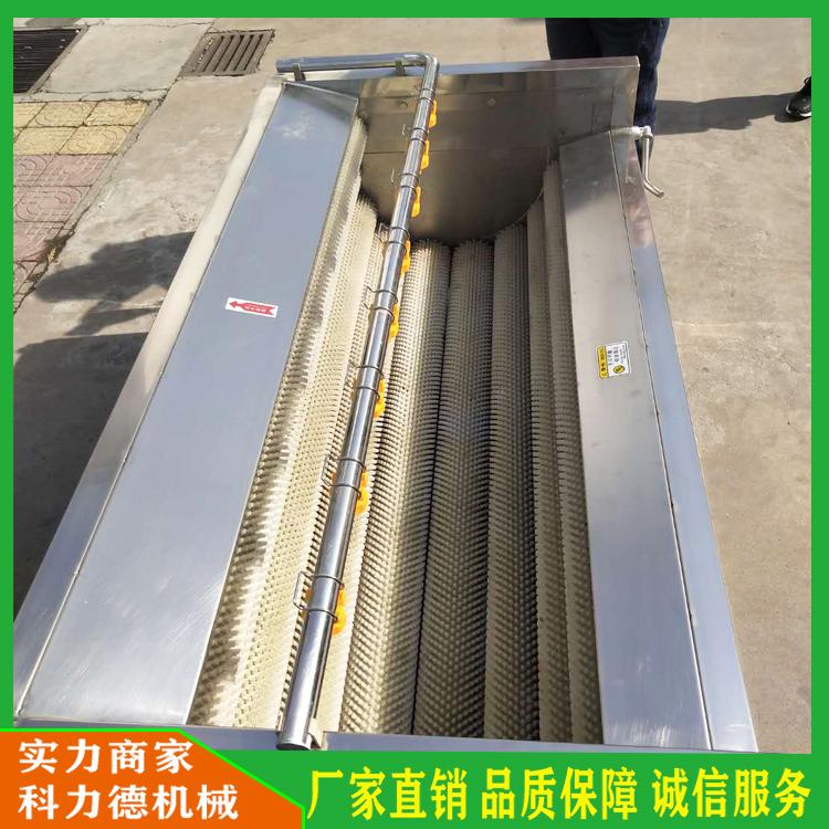 水产品毛辊去杂清洗机 胡萝卜毛辊清洗机 扇贝香螺毛辊去泥清洗机 洋葱毛刷清洗机